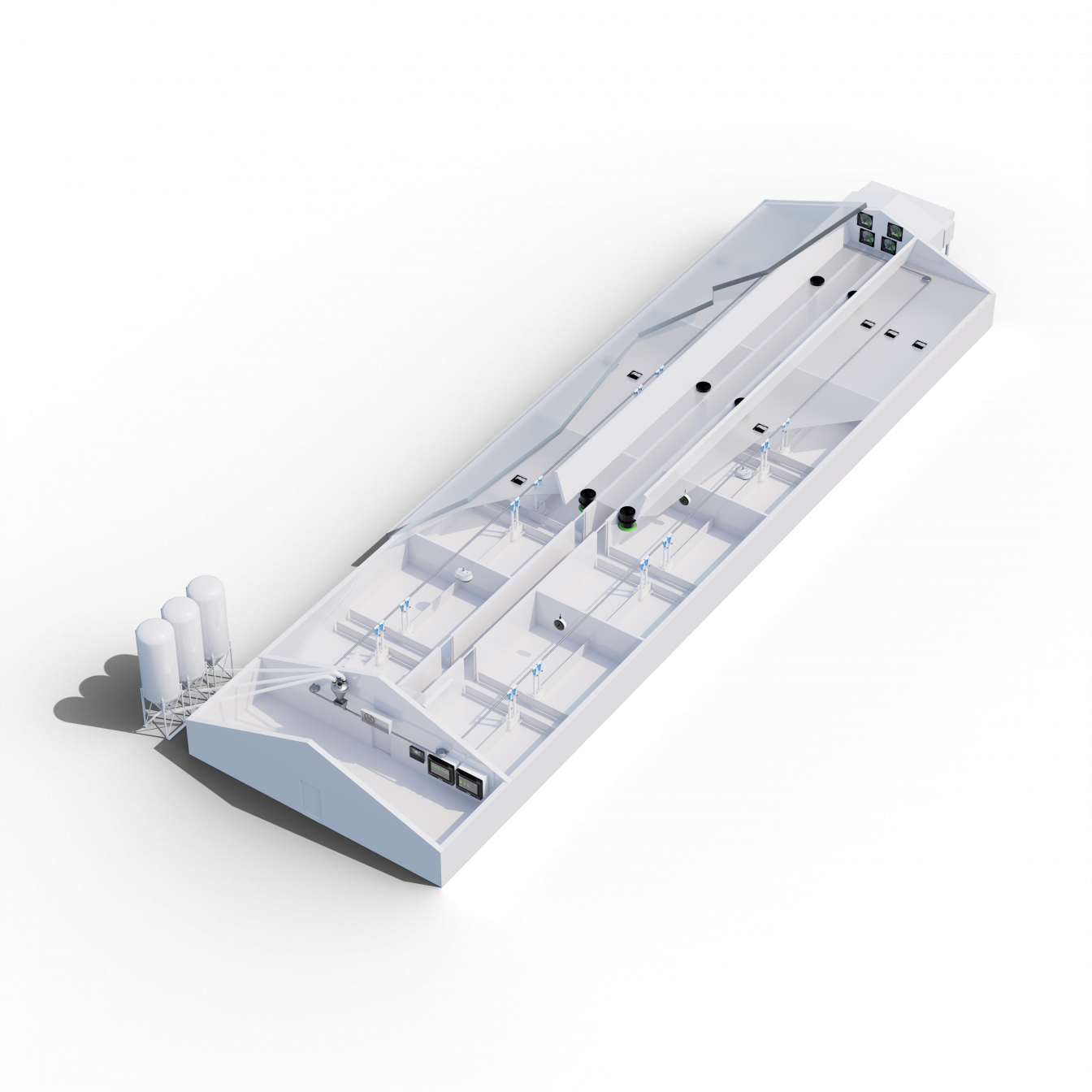 L'engraissement des porcs dans les grandes sections