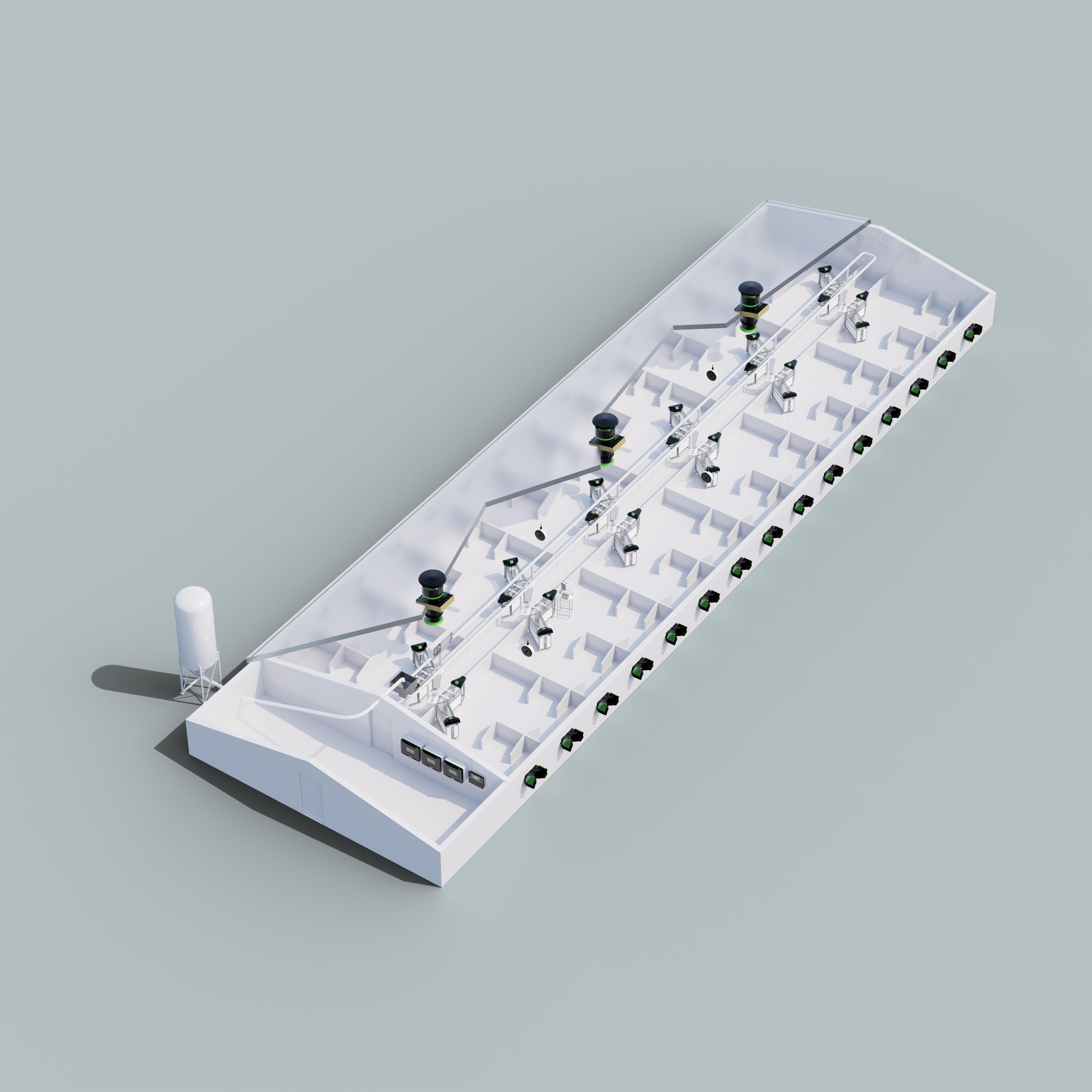 truies gestantes en stabulation collective