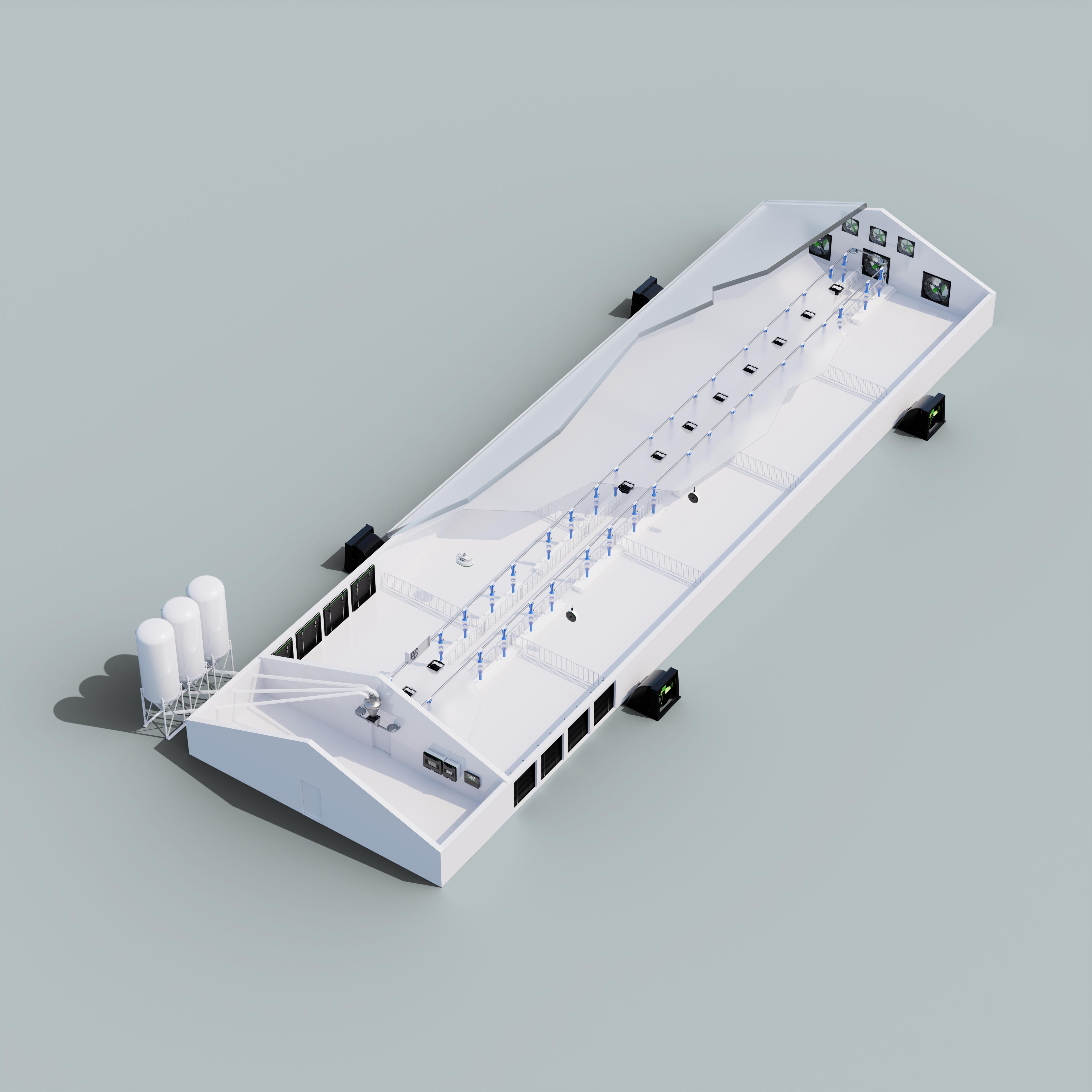 L'engraissement des porcs dans les grandes sections