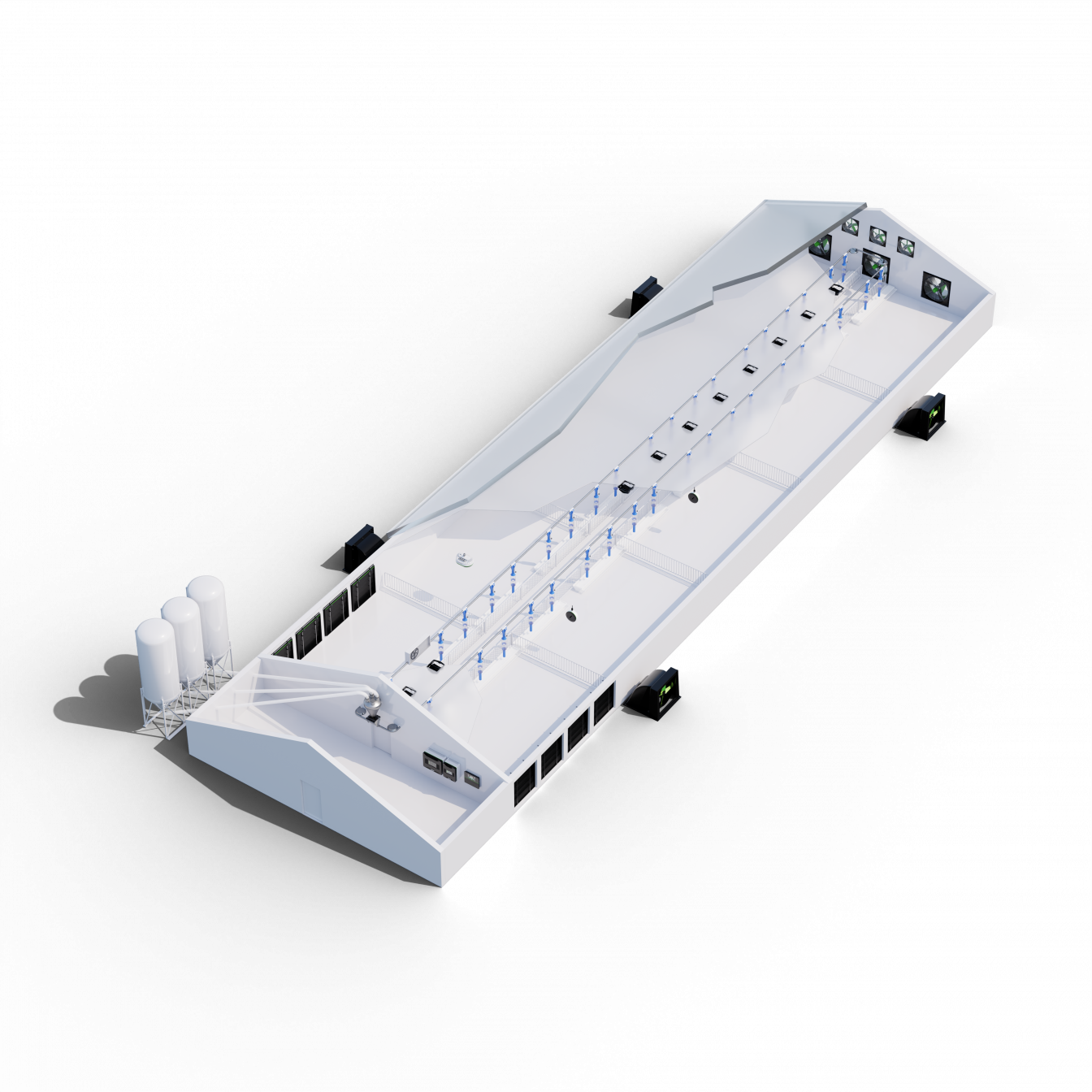 Porcs d'engraissement