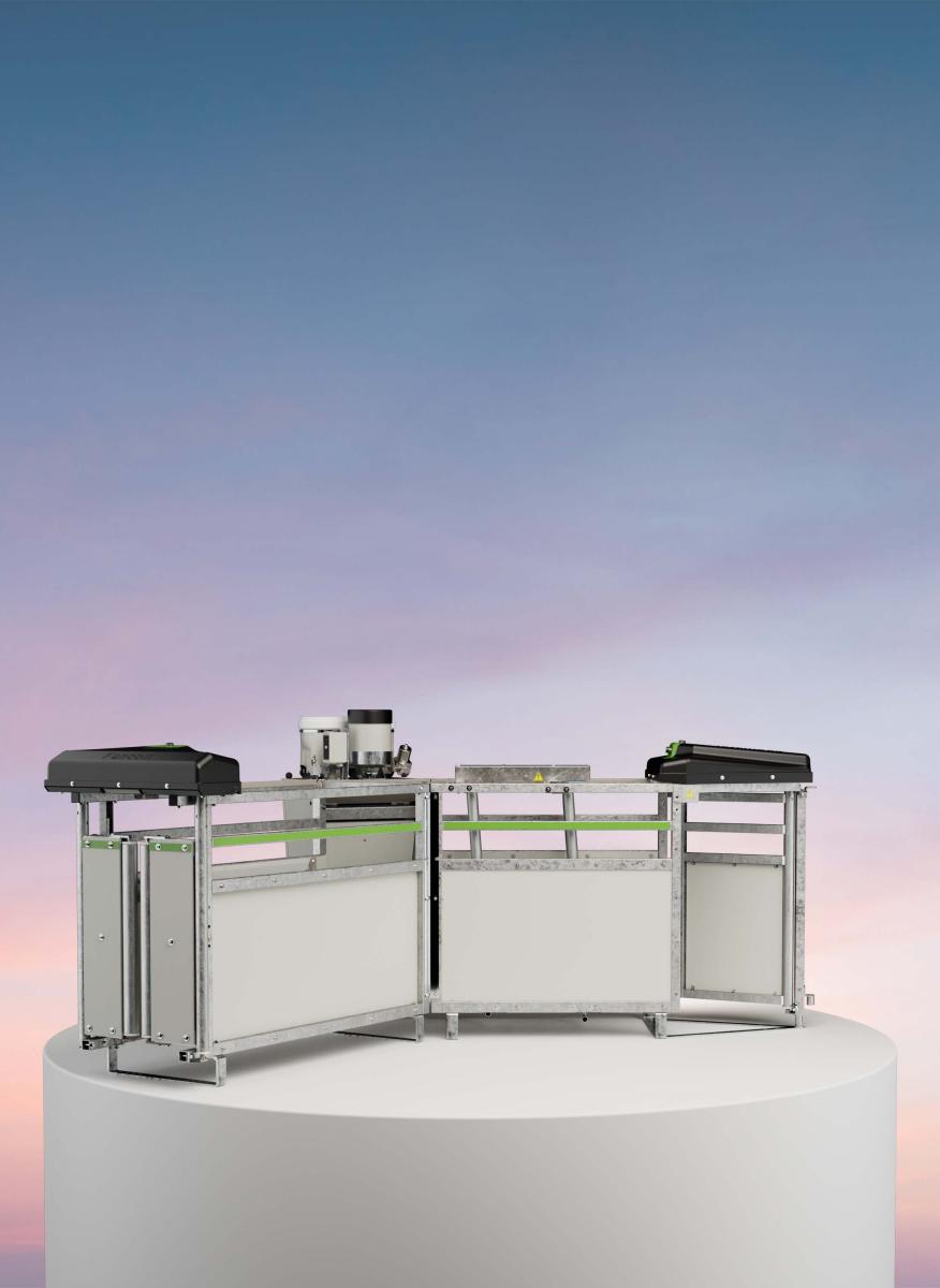 Systèmes d'alimentation des porcs