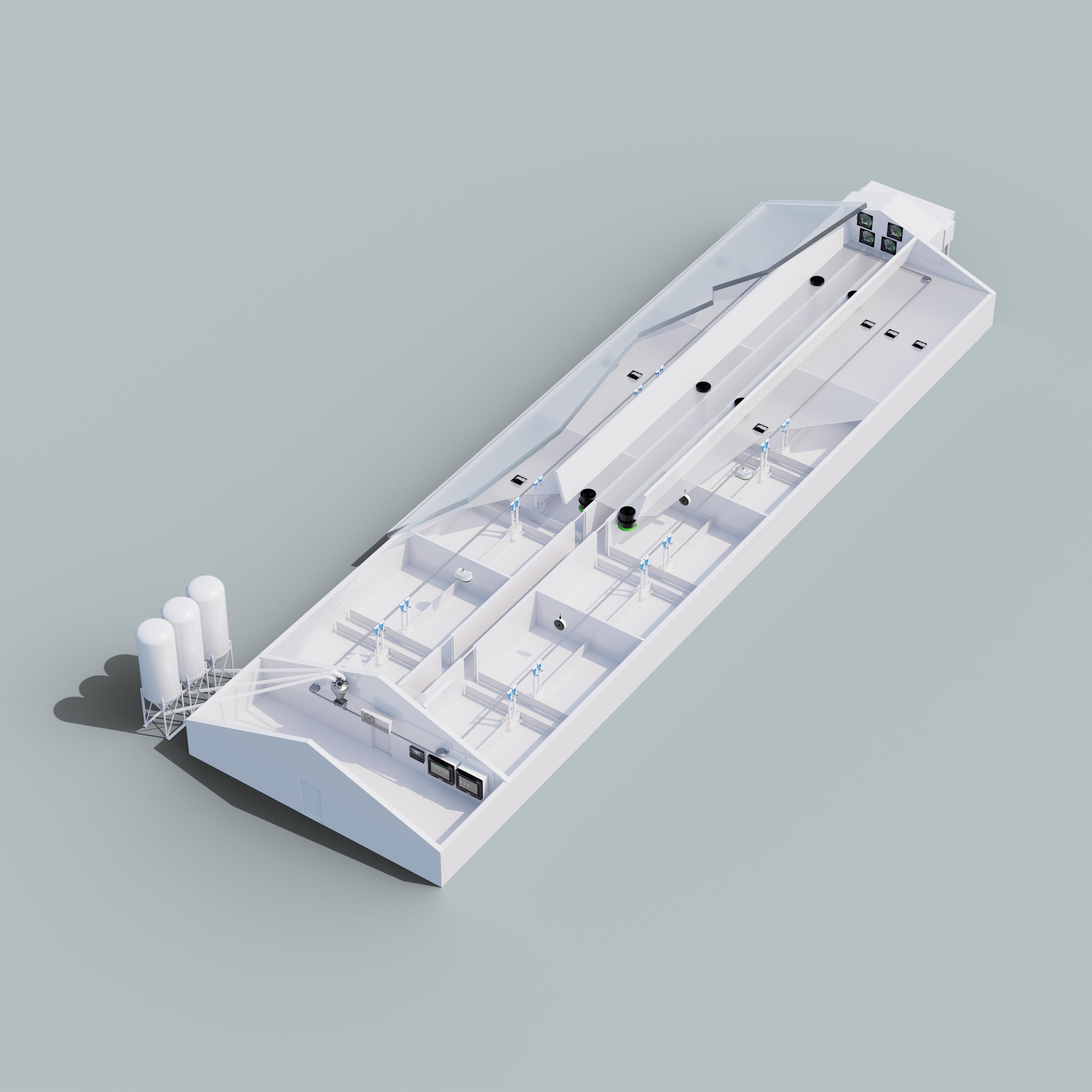 Porcs d'engraissement